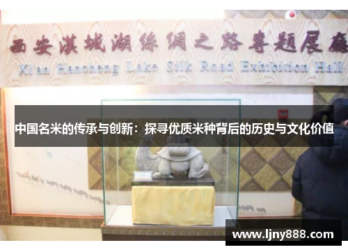 中国名米的传承与创新：探寻优质米种背后的历史与文化价值