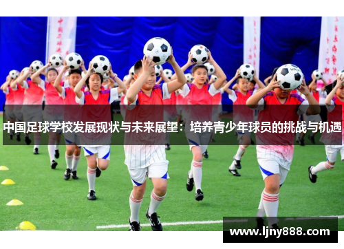 中国足球学校发展现状与未来展望：培养青少年球员的挑战与机遇